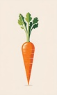 carrot4